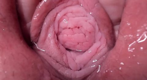 quay-can-canh-am-dao