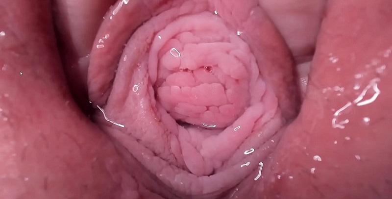 quay-can-canh-am-dao